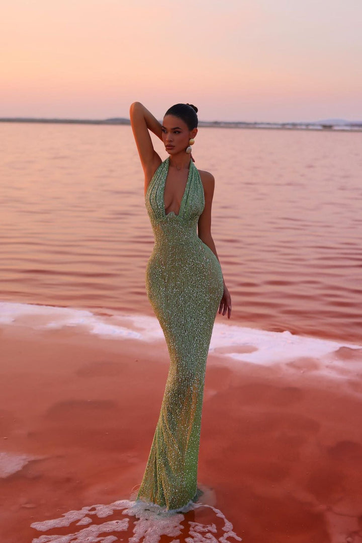 Robe Longue Sirène Femme Dos Nu Décolleté Plongeant